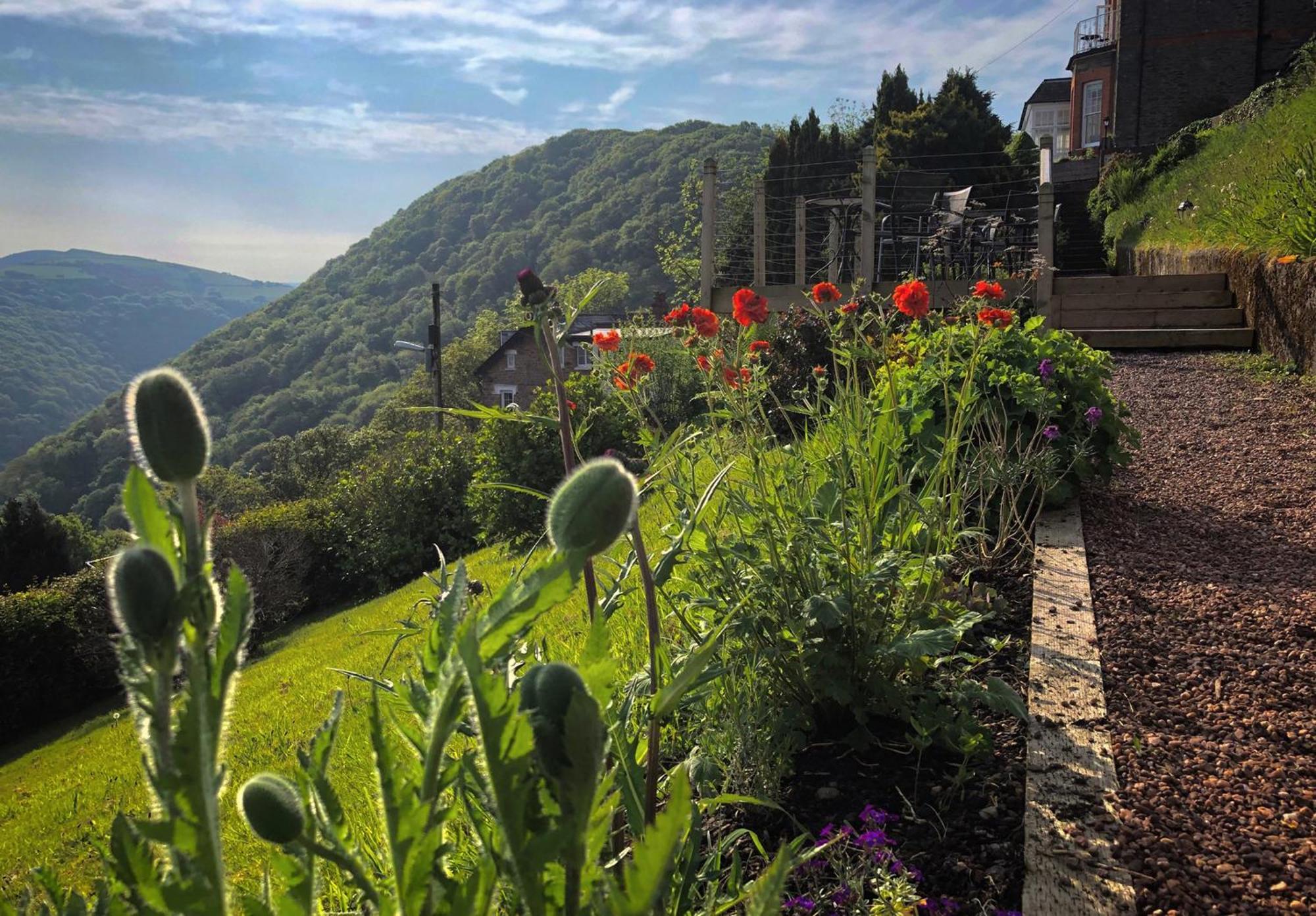 Highcliffe House Bed and Breakfast Lynton Exteriör bild